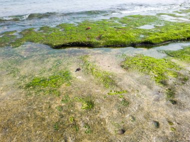 Deniz manzarası artı mavi gökyüzü, kum, gölgeli ağaçlar ve tepeler çok güzel.
