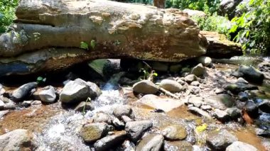 Nehirdeki su akışı çok temiz. Büyük ve küçük taşlar var.