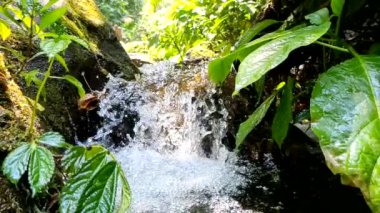Nehirdeki su akışı çok temiz. Büyük ve küçük taşlar var.