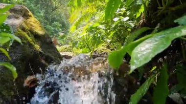 Nehirdeki su akışı çok temiz. Büyük ve küçük taşlar var.