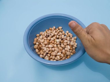 Mavi bir kabın içindeki deriden soyulmuş fıstıklar.