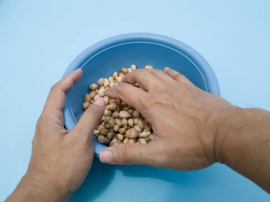 Mavi bir kabın içindeki deriden soyulmuş fıstıklar.