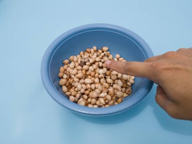 Mavi bir kabın içindeki deriden soyulmuş fıstıklar.