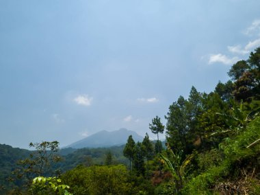 Pembe, kahverengi ve diğer güzel renklerde pürüzsüz desenli soyut arkaplan