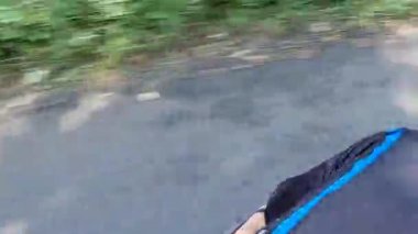 Kenarında güzel ağaçlar olan bir seyahat videosu