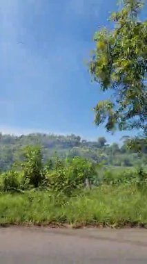 Kenarında güzel ağaçlar olan bir seyahat videosu