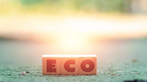 Ecologia Concetto Sostenibile Blocco Legno Con Alfabeto Eco Sfondo Verde — Foto Stock