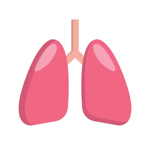 Moderne Lungen Ikone Atemwege Editierbarer Vektor — Stockvektor