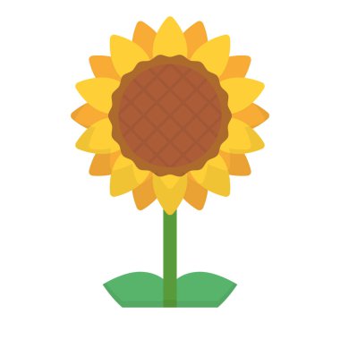 Düz dizayn ayçiçeği ikonu. Düzenlenebilir vektör.