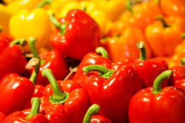 Colourful mix of different red, orange, yellow fresh bell pepper at market.