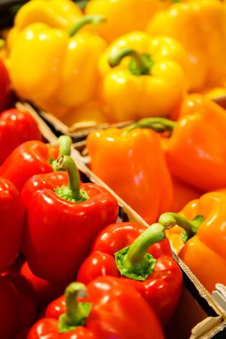 Colourful mix of different red, orange, yellow fresh bell pepper at market.