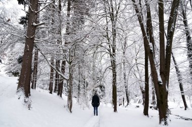 Karla kaplı kış parkında, ormandaki genç bir kadının arka görüntüsü. Karlı kış. Farkındalık ve şimdiki zaman konsepti. Aşk doğa konsepti.