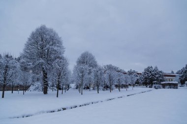 Romanya 'nın Avrig kentindeki Brukenthal Park' ında karla kaplı güzel bir kış fotoğrafı.