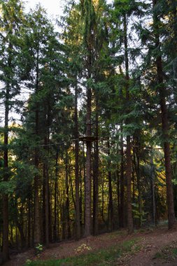 Macera Parkı 'nda ip var. Uçsuz bucaksız bir halat parkı. Zeplinler, güzergahlar ve oyunlar. Dağlardaki gerçek ormanlarda..