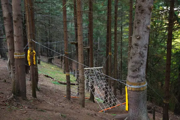 Rope-way in adventure park. Empty extreme rope park with ziplines, routes and games in real forest in mountains.