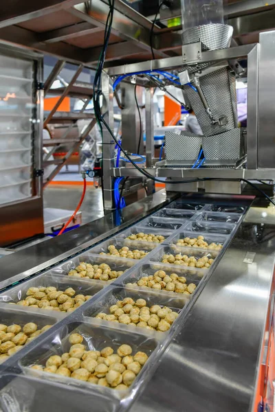 Many meatballs food production line on conveyor belt equipment machinery in factory, industrial food production