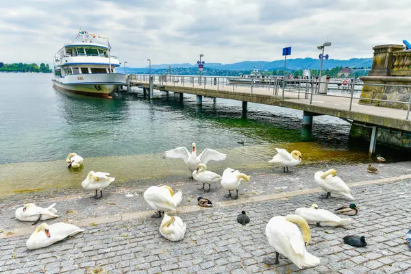 Zurych Szwajcaria Maja 2023 Statek Wycieczkowy Czeka Turystów Porcie Jezioro Obraz Stockowy