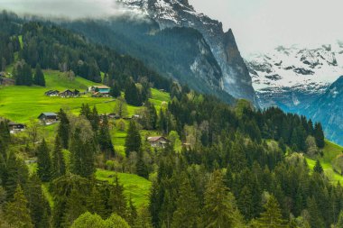 Alp Wengen Köyü manzarası İsviçre 'de güzel bir açık hava manzarası