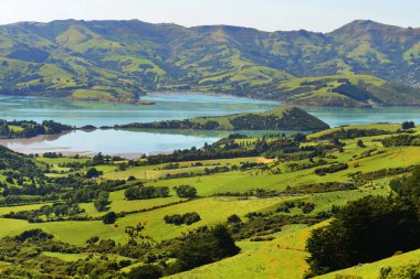 Yeni Zelanda, Akaroa 'nın güzel manzarası