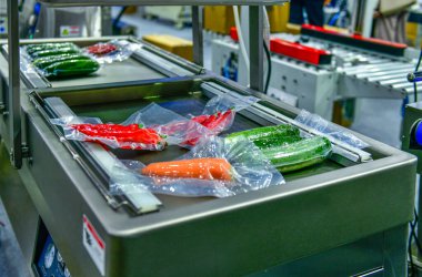 Taze sebzeler, fabrikada, endüstriyel gıda üretiminde şeffaf bir plastik ambalaj hattında paketlenmiştir.