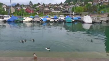 Güzel liman şehri Spiez Thun Gölü 'nde küçük bir kasabadır. Güney sahilinde, Interlaken 'e sadece 18 km uzaklıkta..