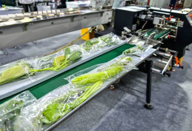 Fabrikada ambalaj makinesi tarım sebzeleri yatay hız ambalajı