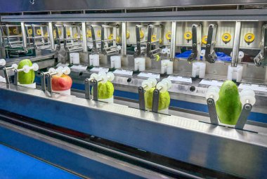 Otomatik taze meyve soyma makinesi üretim hattı fabrikadaki makine ekipmanları üzerine