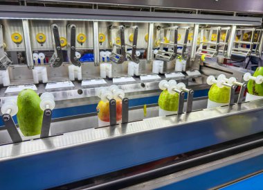 Otomatik taze meyve soyma makinesi üretim hattı fabrikadaki makine ekipmanları üzerine