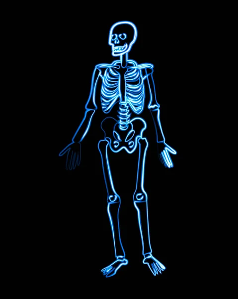 Vektor Isolerad Illustration Mänskligt Skelett Med Neon Effekt — Stock vektor