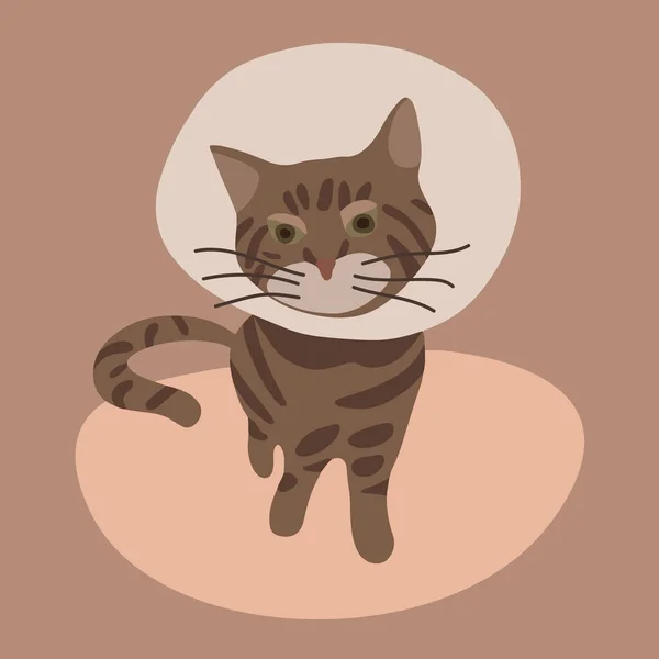 Vektor Izolované Ilustrace Nemocné Kočky — Stockový vektor