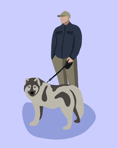 Векторная Изолированная Иллюстрация Человека Выгуливающего Хаски Собаку — стоковый вектор
