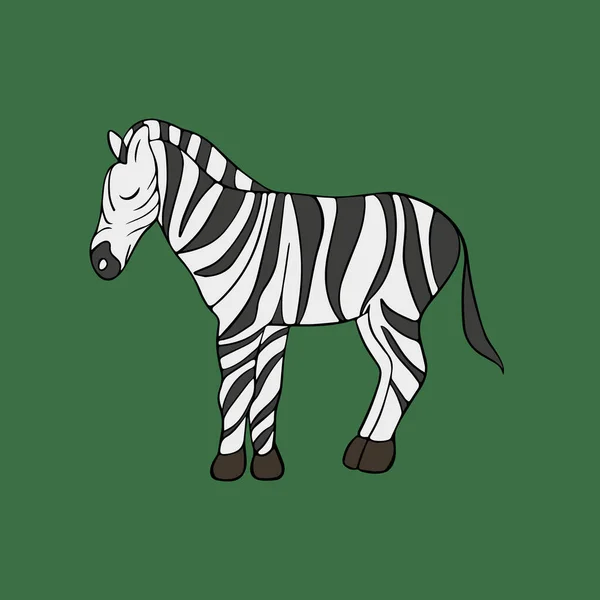 Zebra Hayvanının Izole Edilmiş Bir Temsili Bir Çocuk Baskısı Çizimi — Stok Vektör