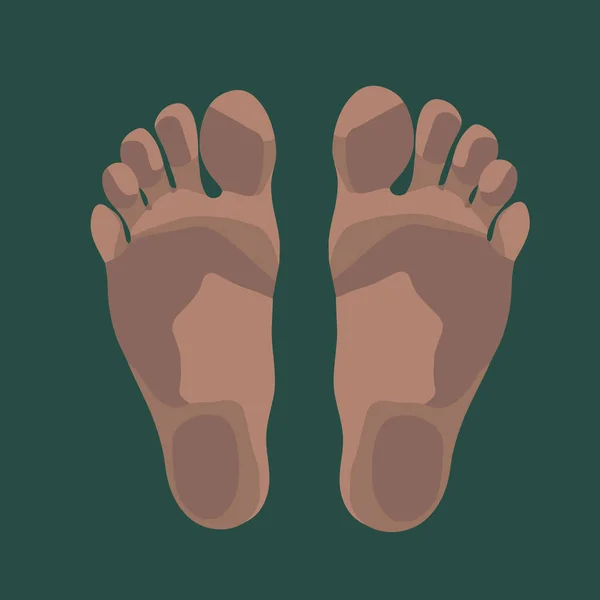 Vektor Isolerad Illustration Mänskliga Fötter Svampbehandling — Stock vektor