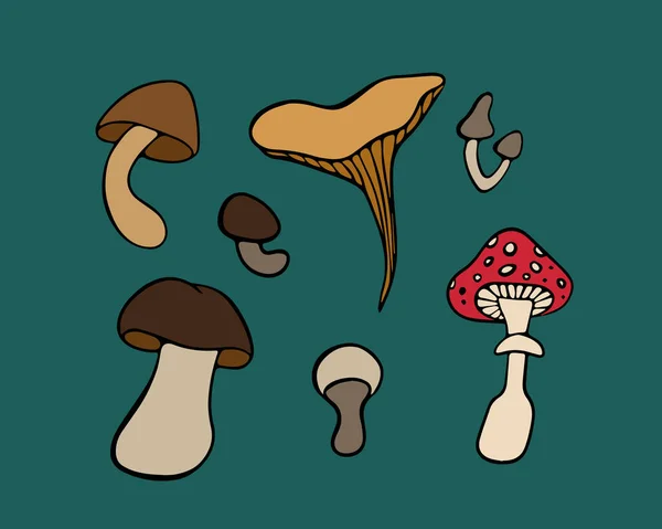 Conjunto Isolado Vetorial Cogumelos Cogumelos Comestíveis Não Comestíveis — Vetor de Stock