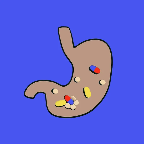 Vector Isolated Illustration Human Stomach Pills Capsules Probiotics Restore Microflora — Stock Vector