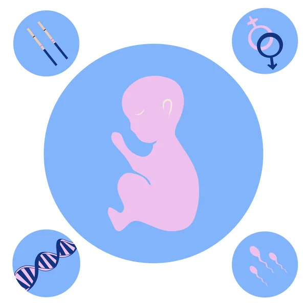 Hamilelik Planının Izole Edilmiş Temsilcisi Hamilelik Ikonları Annelik Için Hazırlık — Stok Vektör
