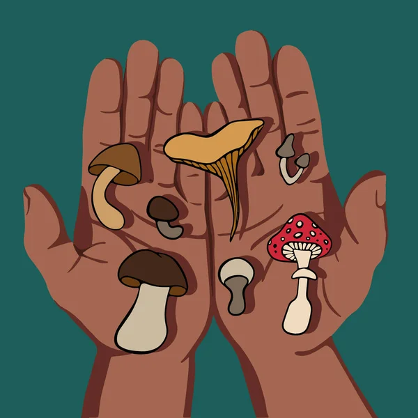 Set Different Mushrooms Human Palms Selection Mushrooms Edible Poisonous Mushrooms — Stock Vector