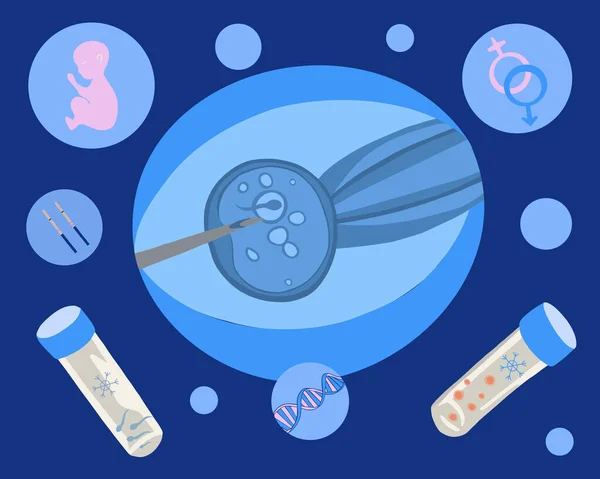 人工授精だ 体外受精で 卵が凍る 精子提供 卵の寄付 精子の凍結 不妊治療室 受精過程のベクトル分離図 — ストックベクタ