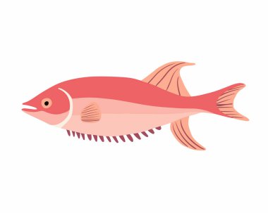 Beyaz arka planda pembe bir balığın izole edilmiş bir temsili..