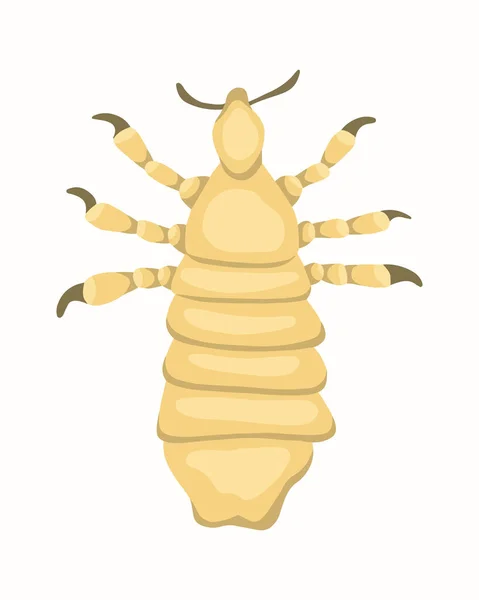 Vector Isolated Illustration Louse Human Louse Problem Pediculosis — Stock Vector