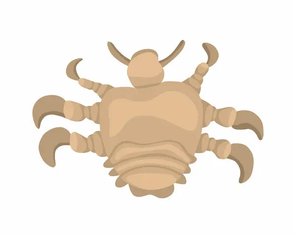 Vector Isolated Illustration Pubic Louse White Background — Stock Vector