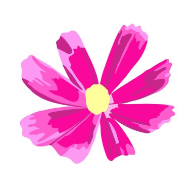 Beyaz arkaplanda kozmea çiçeğinin izole edilmiş vektör çizimi.