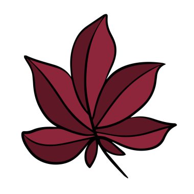 Beyaz arkaplanda bir sonbahar yaprağının izole edilmiş temsili.