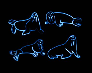 Neon etkisi olan bir dizi karikatür morsunun vektör çizimi. Deniz aygırlarının birleşik çizimi.