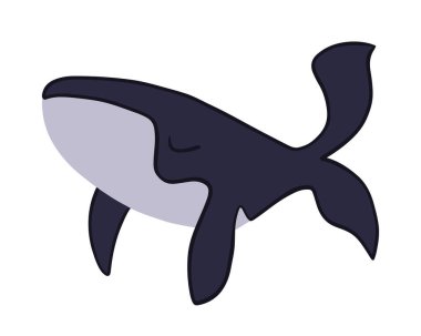 Beyaz arka planda bir balinanın izole edilmiş görüntüsü..