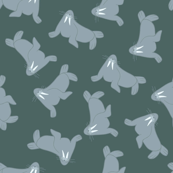 Векторная изолированная иллюстрация шаблона с моржами. Детский рисунок с животными.