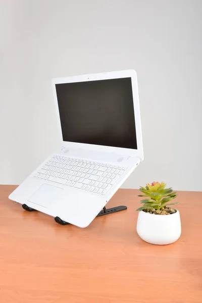 Постійний Тримач Ноутбука Встановлений Ноутбуком Столі — стокове фото