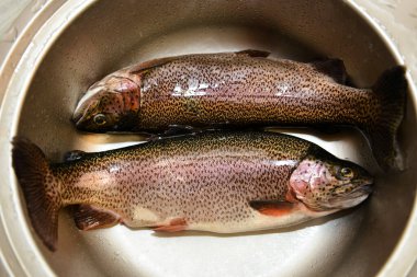 Çiğ alabalık manzarasını kapat.