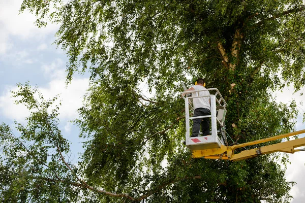 Arborist Mann Der Luft Auf Gelbem Aufzug Korb Mit Kontrollen lizenzfreie Stockfotos