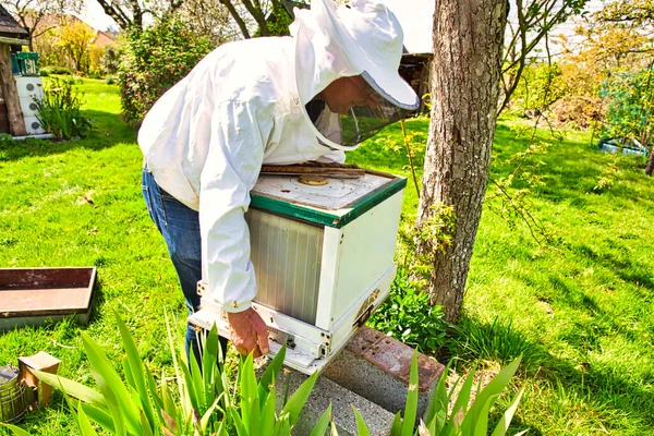 The study of bees, which includes the study of honey bees, is known as melittology. This Beekeeper is ready to check on the bee hive while wearing protective clothing in an attempt to not be stung. With smoker and brush.
